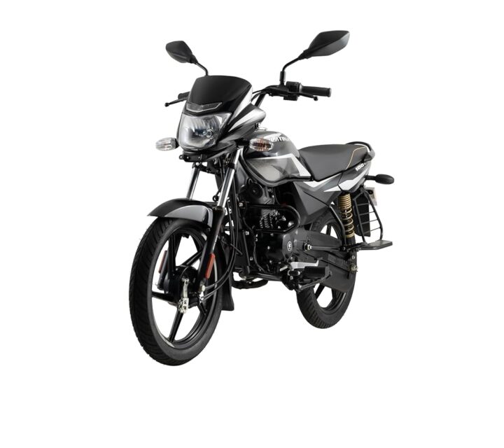 platina-100-es-bike