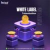 Fast Track to Digital Assets – White Label Tokenization