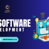 Custom ERP Software Development Solutions