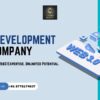 Advanced Web3 Development Company for Business Growth