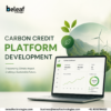 Can a Carbon Credit Platform Accelerate Your Net-Zero Strategy?