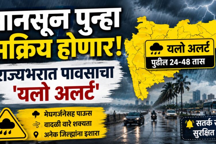मान्सून पुन्हा सक्रिय! महाराष्ट्रातील अनेक जिल्ह्यांना यलो अलर्ट, मुसळधार पावसाचा इशारा