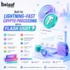 Built for Lightning-Fast Crypto Processing with Flash