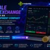 Launch a Scalable Digital Exchange with an Expert Development Company