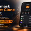 Advanced MetaMask Wallet Clone Script Development